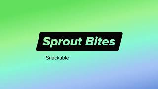 How To Track Social Media Traffic and ROI in Google Analytics | Sprout Bites screenshot 3