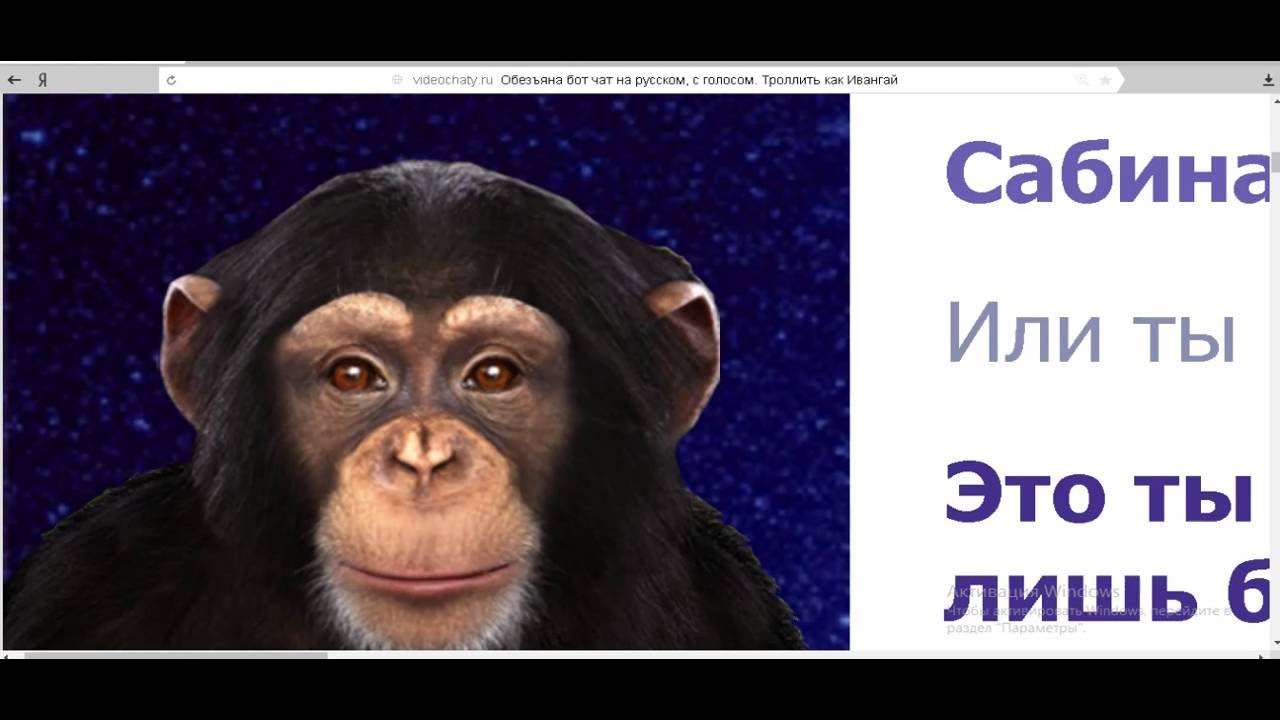 тролль бот обезьяна - YouTube