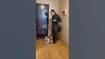 Сборы на прогулку