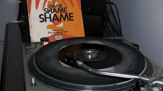 Carol And The Boston Garden - SHAME SHAME SHAME