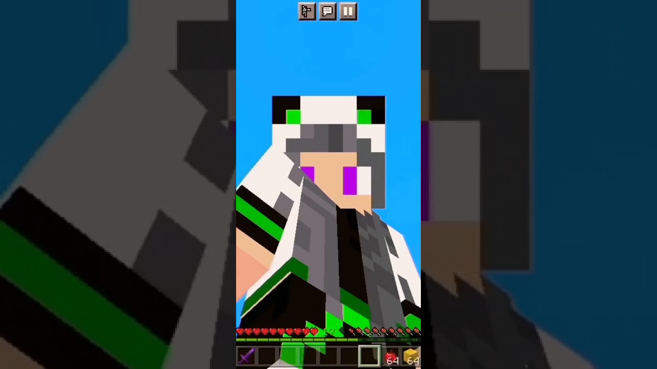 MINECRAFT WITH CUSTOM CRAFTS