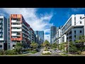 BILLBERGIA BENNELONG COVE