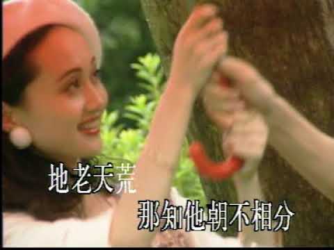 003 徐小鳳 (風雨同路) 右