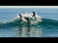 Pro Skimboarders Score a Perfect Wedge on Christmas day!