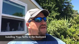 How We Trellis Our Hop Plants
