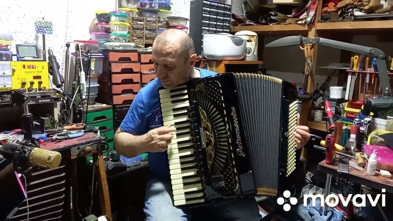 Servis harmonika Dane Loznica +38164 420 5721