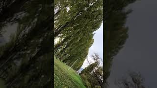 IMG 1969 HEVC