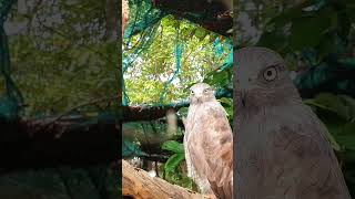 Video e6e5e0df dfba 4ebc b510 e992a60e8ccb