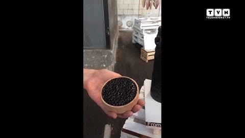 Rumors from Fuorisalone 2015 - #6