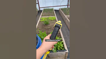 Полив из бочки