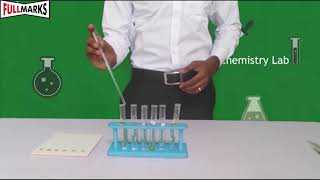 Lab Manual Science CBSE Class 10 Experiment No. 1 A (pH of Samples) screenshot 4