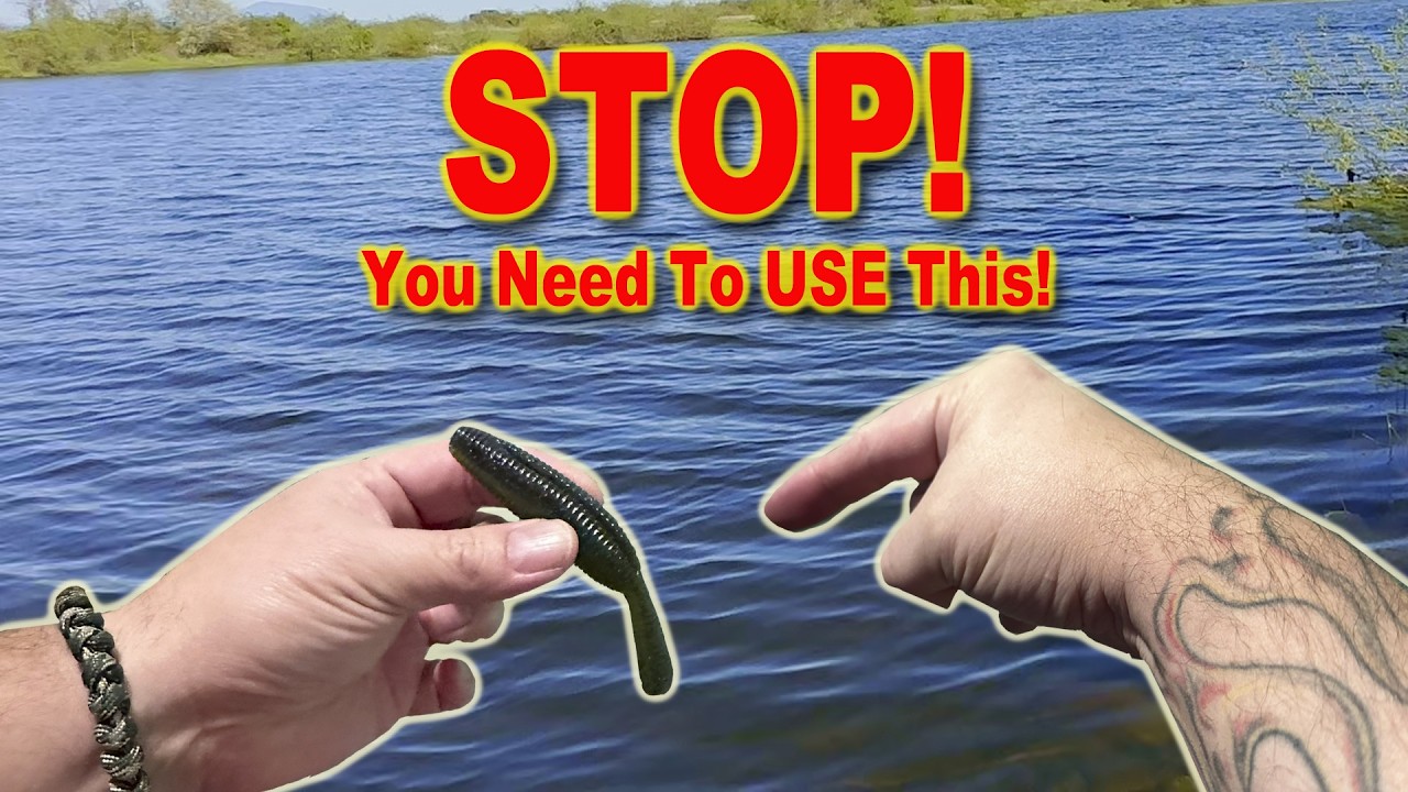 Stop! This will catch you more Bass!