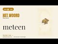meteen: real spoken Dutch for expats (A2) | Day 41/100 #shorts