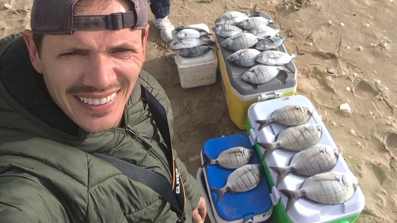 Surfcasting en Isla Cristina, día de sargos.