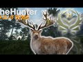 498 INTO THE RED DEER! *POSSIBLY SHOOTING OUR STACKED DIAMONDS! | The Hunter Call of the Wild