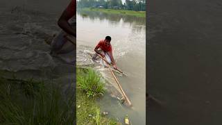 Amazing small fish hunting skills