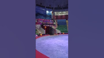 QUÀ TẶNG TRUNG THU 2023: ĐI XEM XIẾC Ở RẠP XIẾC TRUNG ƯƠNG (5)