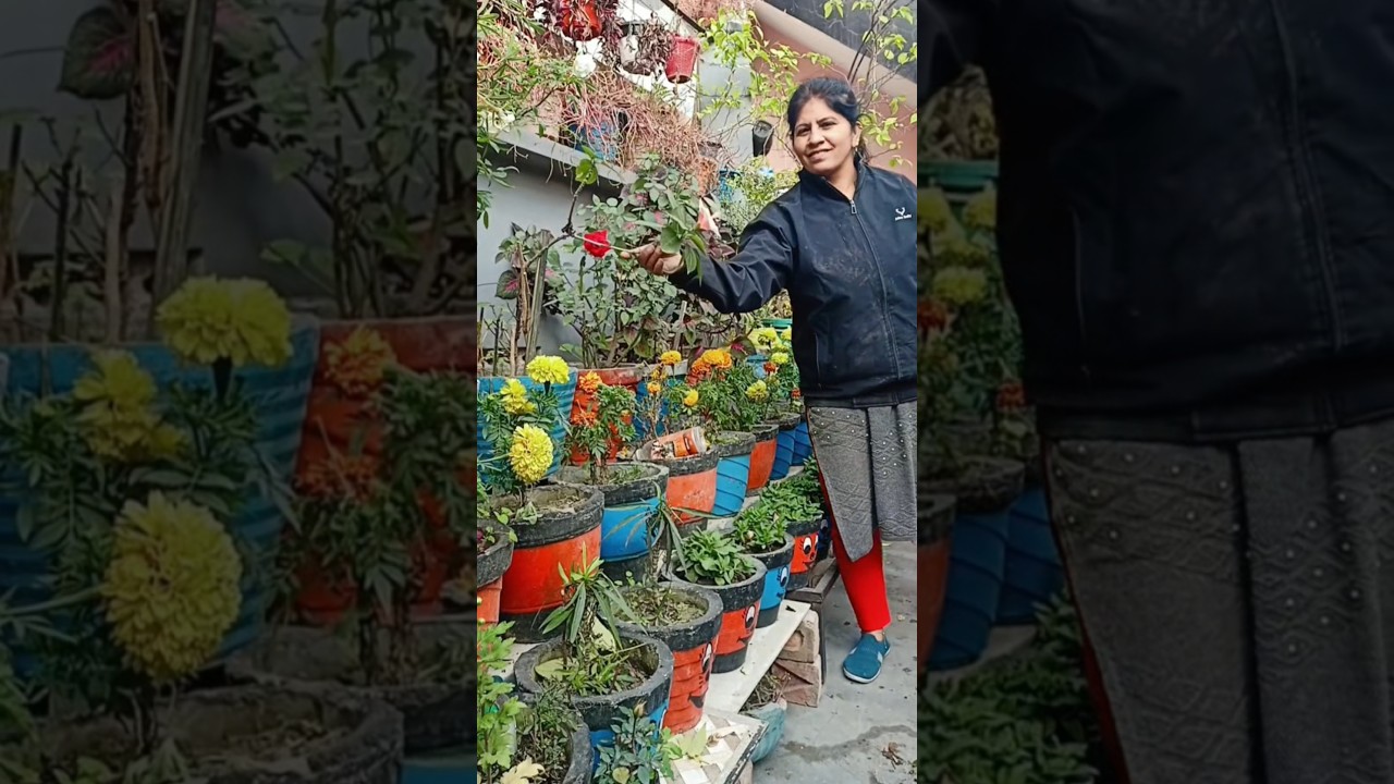 #уходзасадом