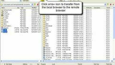 CuteFTP How To Transfer Files