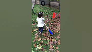 The Girls Raking Leaves 