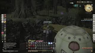 Test stream of Final Fantasy XIV