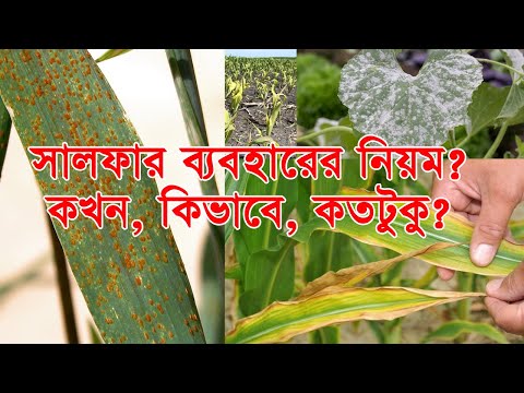 ভিডিও: আপনি কিভাবে মাটিতে সালফার প্রয়োগ করবেন?