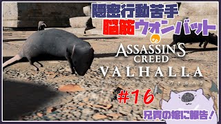 【脳筋アサクリ１６】ASSASSINS CREED VALHALLA 【#こむらいぶ】