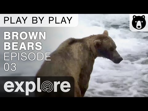 Katmai Riverbank Ranger View live cam preview