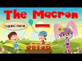 The Macron / ā, ē, ī, ō, ū / Long Vowels/ Phonics Mix!