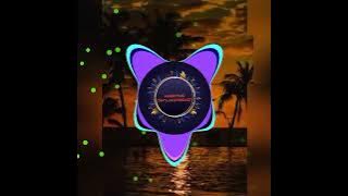 yanky lavie dir (dsp)