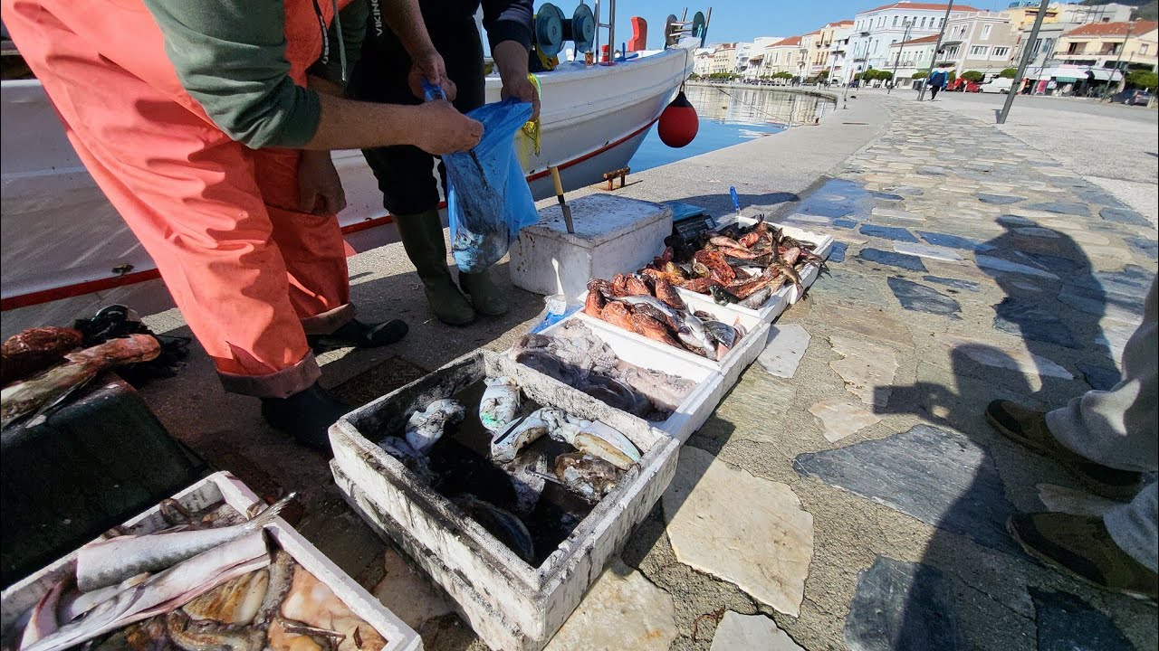 Σάμος: Ενα όμορφο αλίευμα σε ένα όμορφο ψαρότοπο