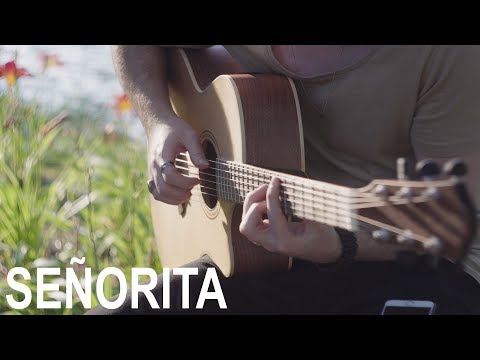 Señorita - Shawn Mendes, Camila Cabello - Fingerstyle Guitar Cover by Peter Gergely [WITH TABS]