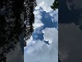 Eyes on the horizon, heart in the clouds. #music #trending #sky #cloud #viral #nature #tree #peace