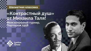 «Контрастный душ» от Михаила Таля! Межзональный турнир, Порторож, 1958