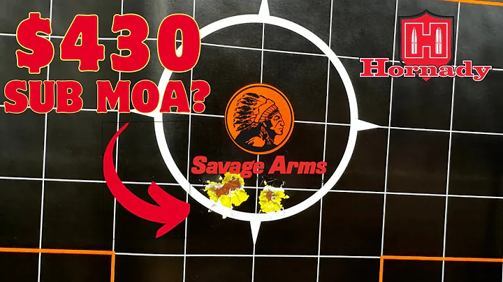 Savage Axis .308 Hunting Rifles | Best Budget Rifle?