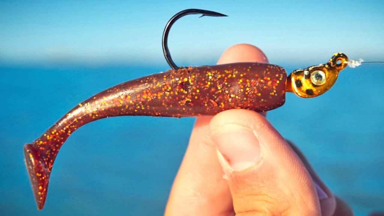 Tampa Bay Winter Fishing For Speckled Trout and Redfish YouTube