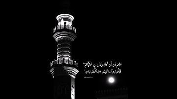 آيات هادئة بصوت القارئ عبد الرحمن مسعد 🤍. قرآن كريم || حالات واتس اب