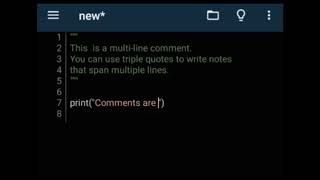 Problem 1: Python Comments Level 1