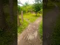 Nagpakita na si Haring Araw #farm