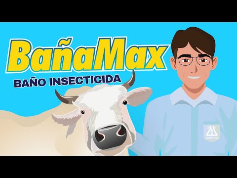 Animación 2D