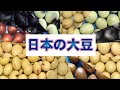 日本の大豆