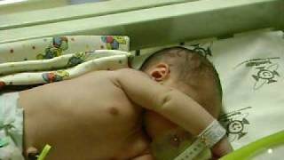 Imagem 280.avi
