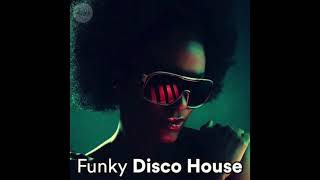 Funky Disco House Acquagym Vol 11(135 Bpm 32 count)