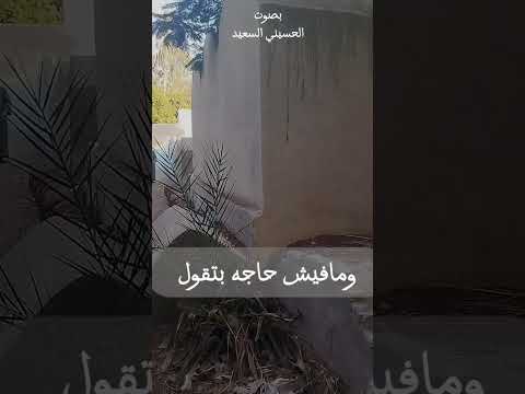 وصيتي لكم عند وفاتي إشترك في القناه لمشاهده باقي الفديو الله يارب