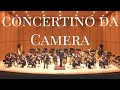[Live] Jacques Ibert | Concertino da Camera 자크 이베르 | 콘첼티노 다 카메라 브랜든 최 (클래식 색소폰) · 부산시립교향악단 지휘 홍석원