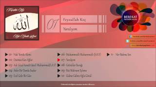 Yaralıyım - Feyzullah Koç