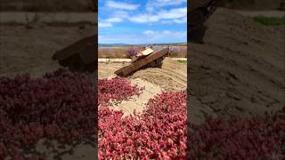 #M1A2 #Abrams #Tank on #prowl Subscribe to support my channel! Free.🙏 Thanks. #Shorts