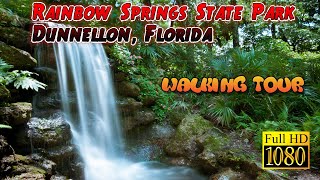 Rainbow Springs State Park: A Family Adventure You Can’t Miss in Dunnellon, FL!  #adventureschmuck