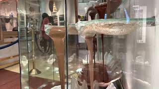 Worlds Largest Chocolate Fountain - Bellagio Resort &amp; Casino Las Vegas