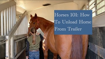 Horses 101: How To Unload Horse From Horse Trailer